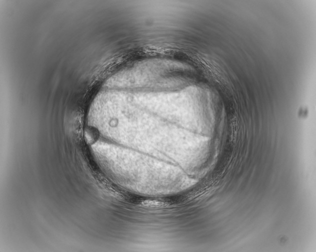 X0000093470699200711021232