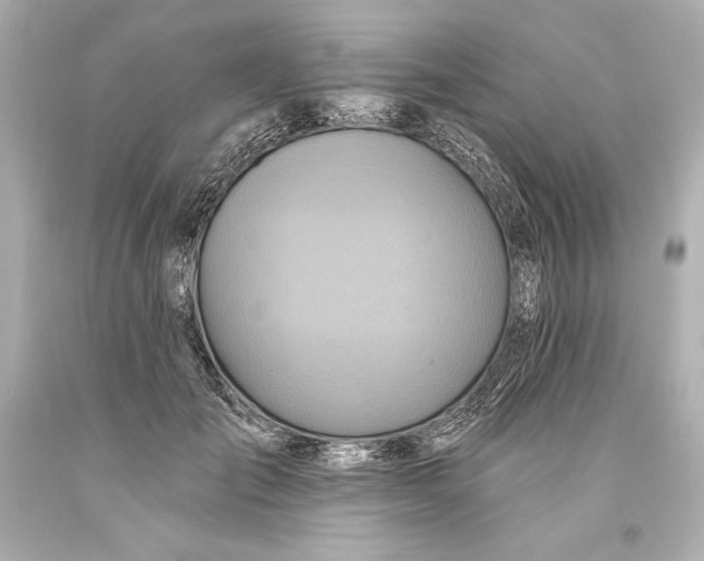 X0000093470701200711021232