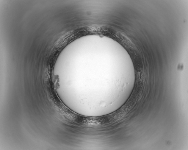 X0000093470702200711021232