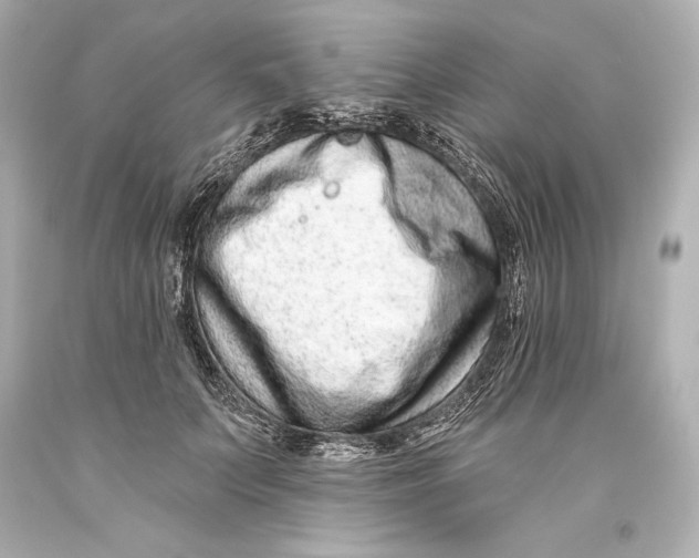 X0000093470703200711021232