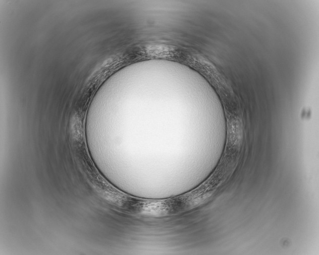 X0000093470705200711021232