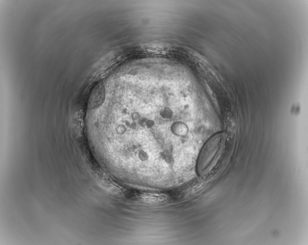 X0000093470707200711021232