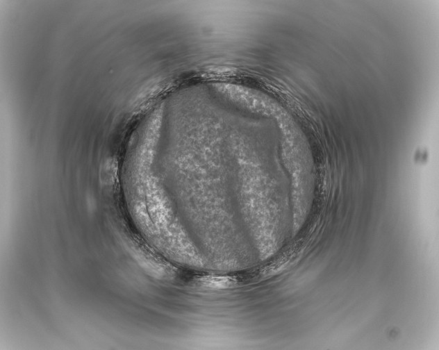 X0000093470711200711021232