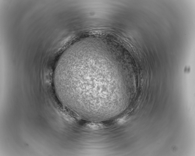 X0000093470712200711021232