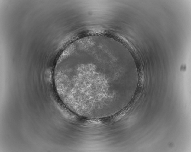 X0000093470715200711021232