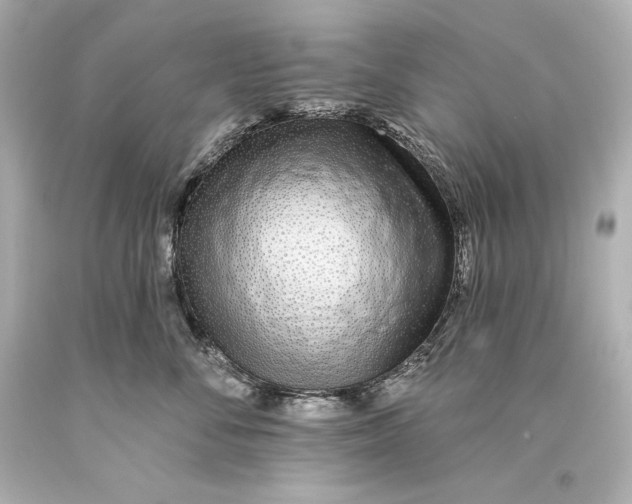 X0000093470716200711021232