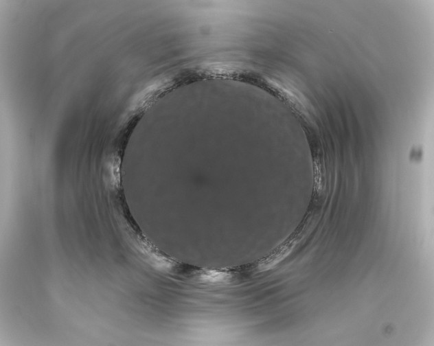 X0000093470718200711021232