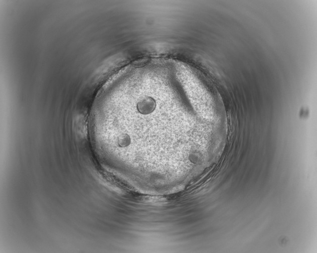 X0000093470719200711021232