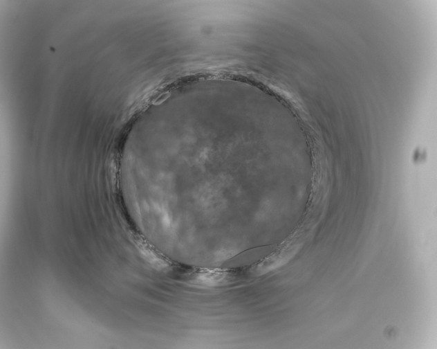 X0000093470720200711021232