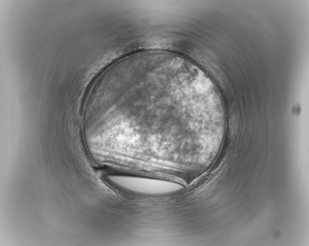 X0000093470721200711021231