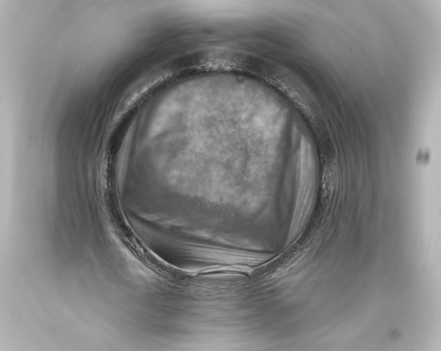 X0000093470722200711021231