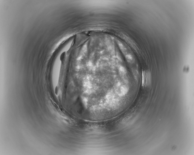 X0000093470723200711021231