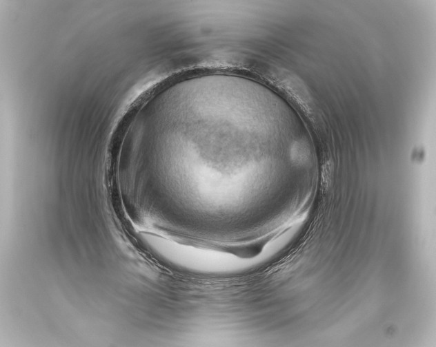 X0000093470724200711021231