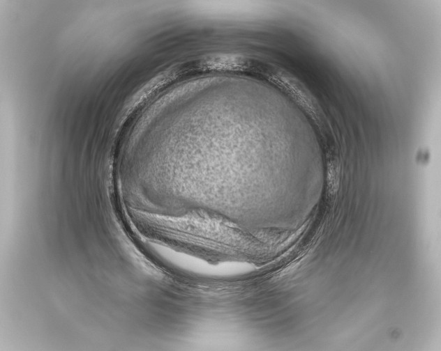 X0000093470725200711021231