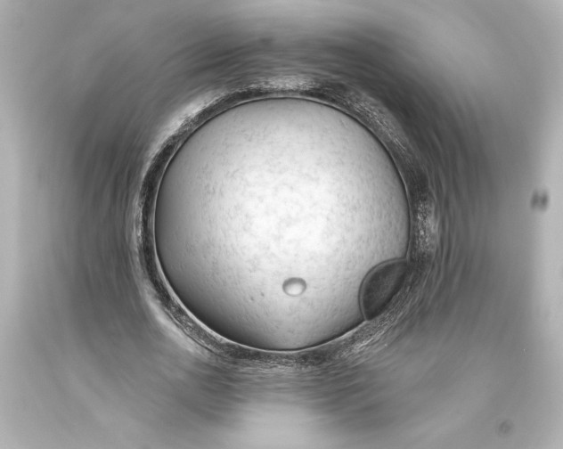 X0000093470726200711021231