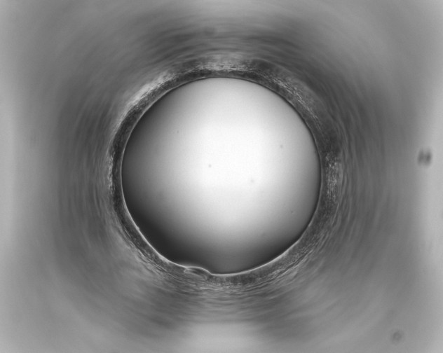 X0000093470727200711021231