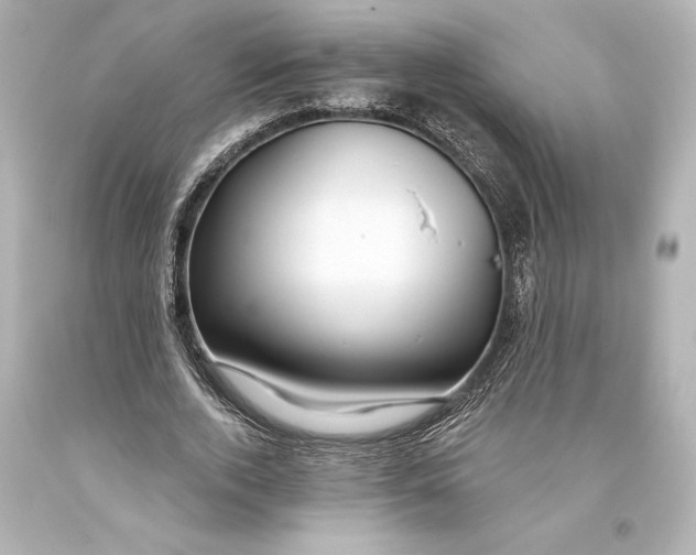 X0000093470728200711021231