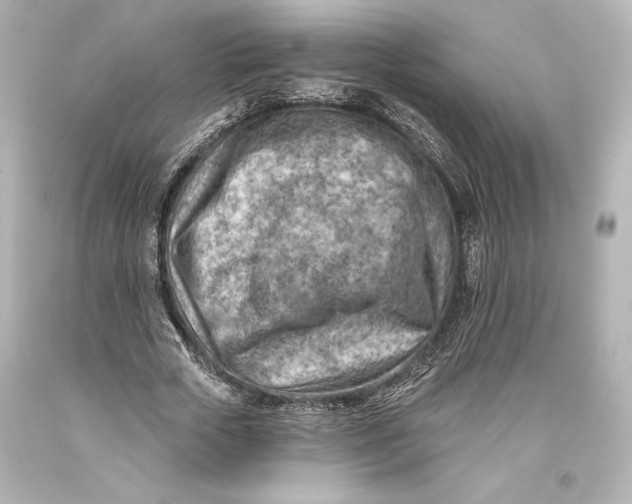 X0000093470729200711021231