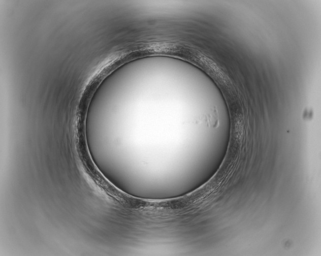 X0000093470730200711021231