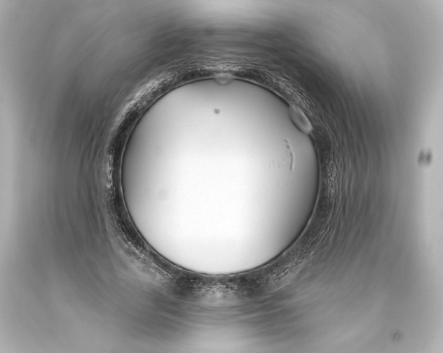 X0000093470731200711021231