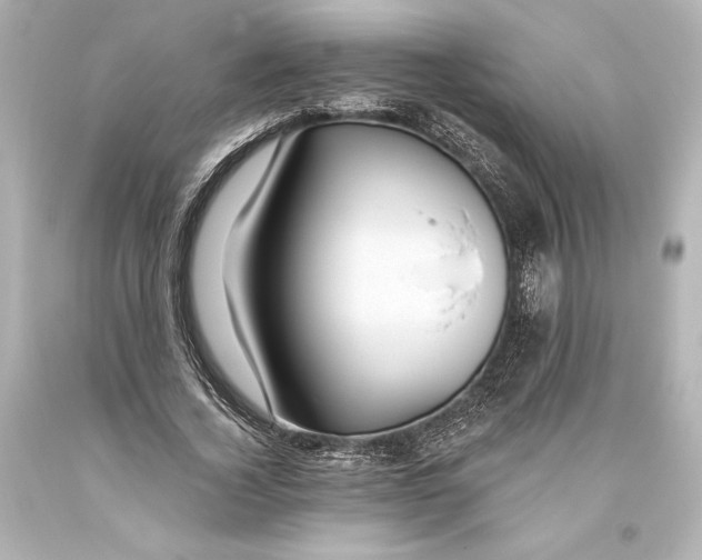 X0000093470732200711021231