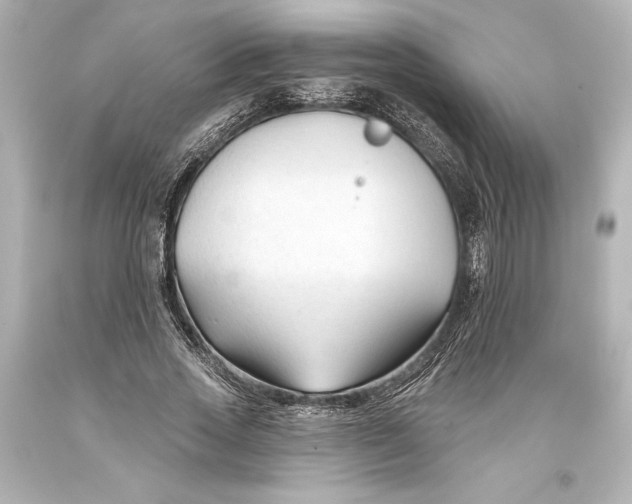 X0000093470733200711021231