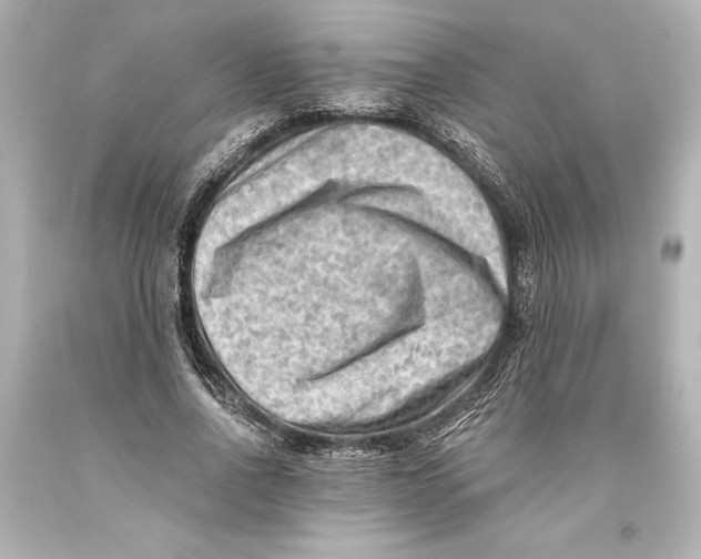 X0000093470734200711021231