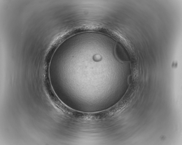 X0000093470736200711021231