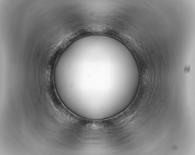 X0000093470739200711021231