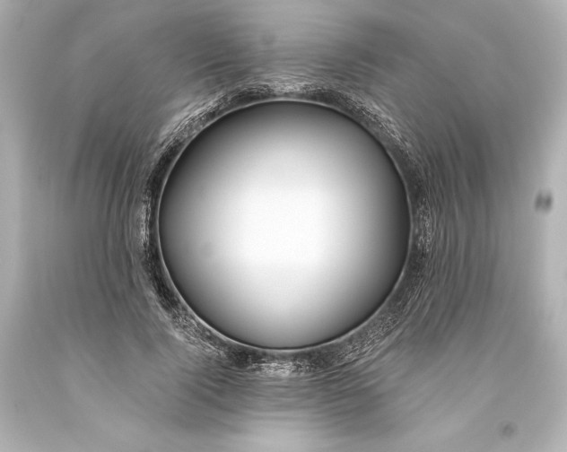 X0000093470740200711021231