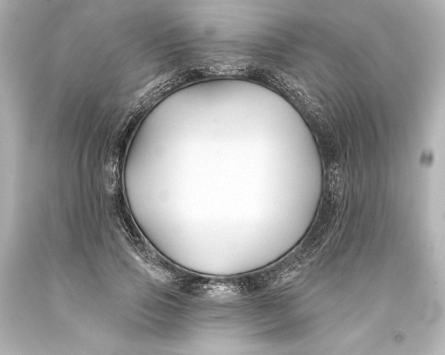 X0000093470741200711021231