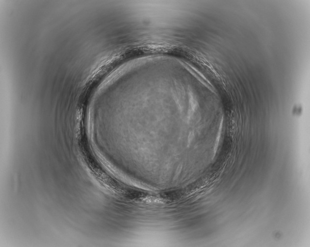 X0000093470742200711021231