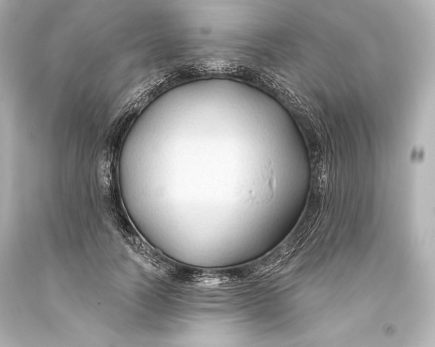 X0000093470746200711021232