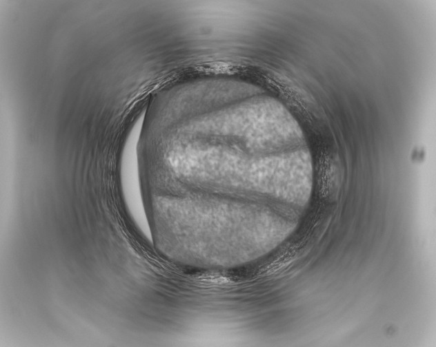 X0000093470747200711021232