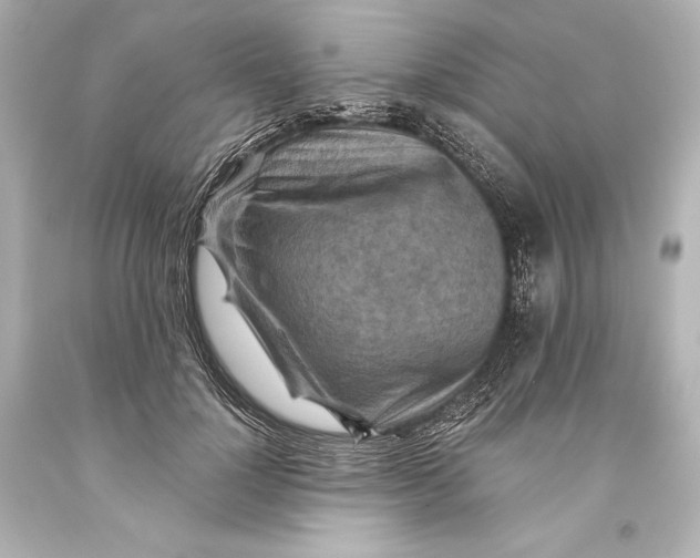 X0000093470748200711021232