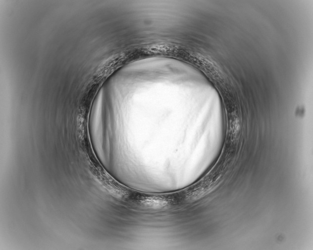 X0000093470749200711021232