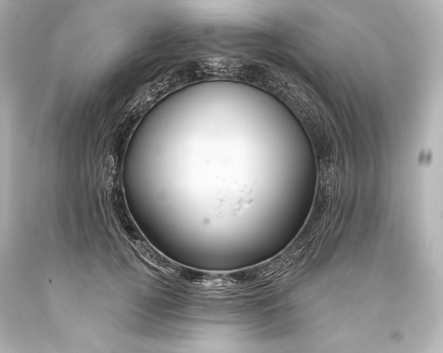 X0000093470752200711021232