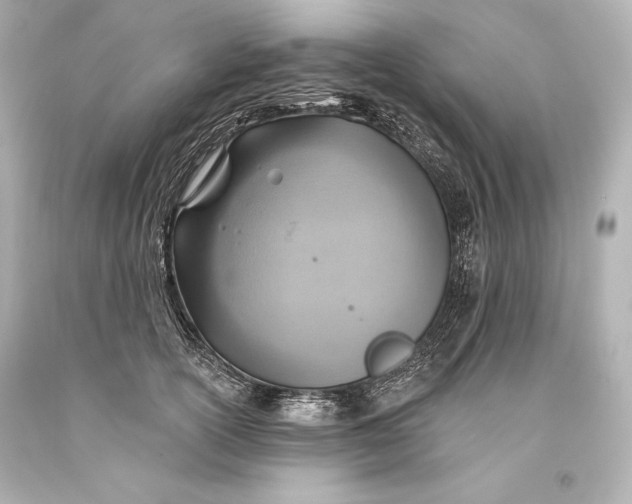 X0000093470754200711021232