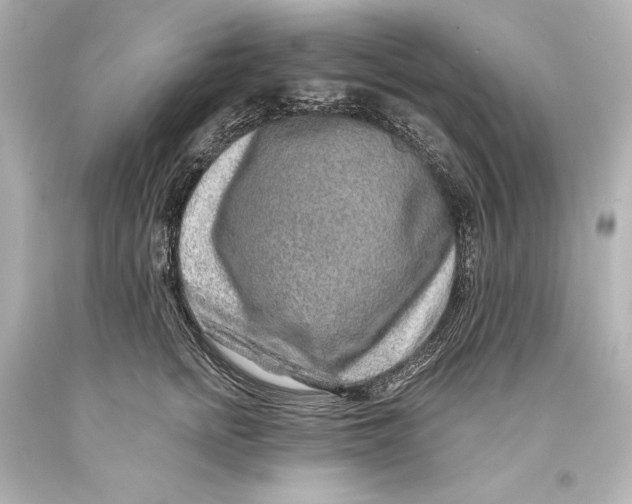 X0000093470758200711021232