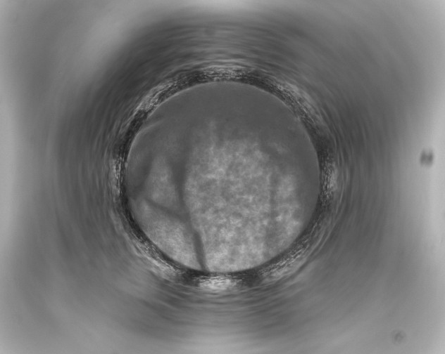 X0000093470759200711021232