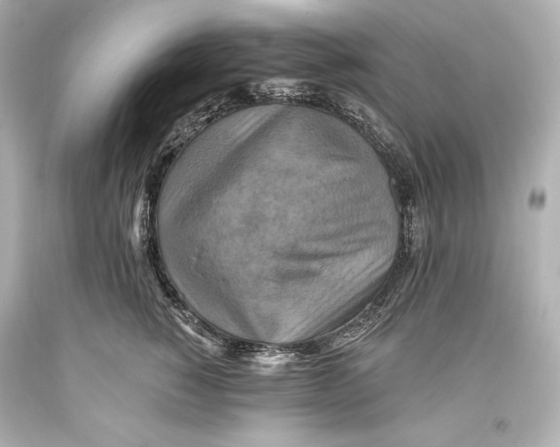 X0000093470760200711021232