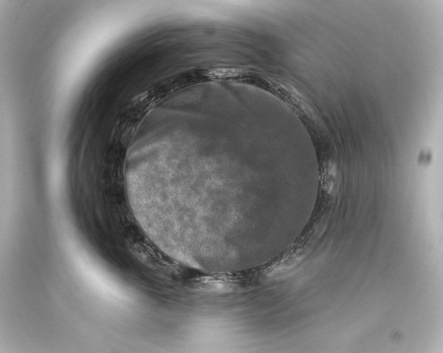 X0000093470763200711021232