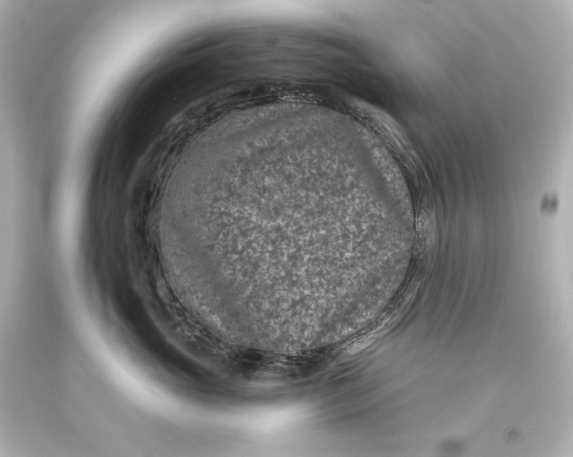 X0000093470765200711021232