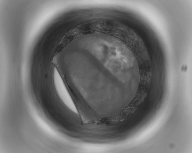 X0000093470766200711021232