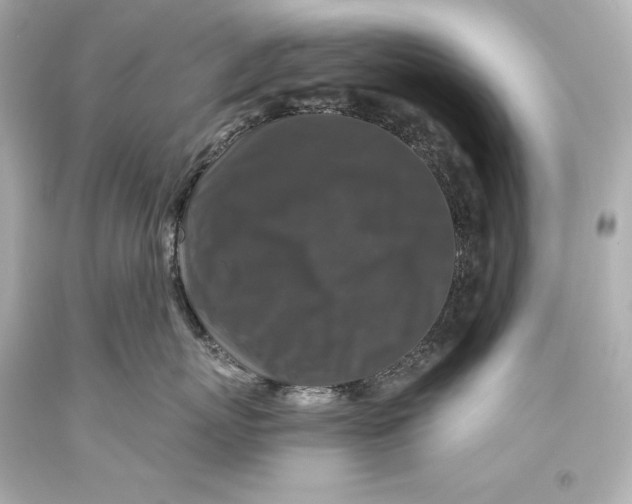 X0000093470767200711021232