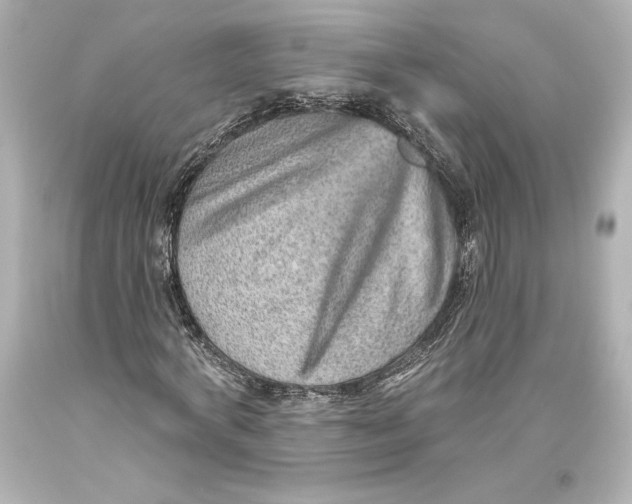 X0000093470772200711021231