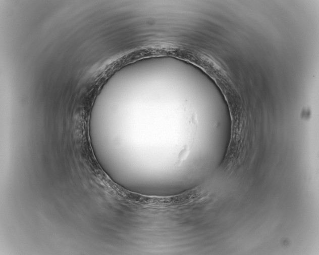 X0000093470773200711021231