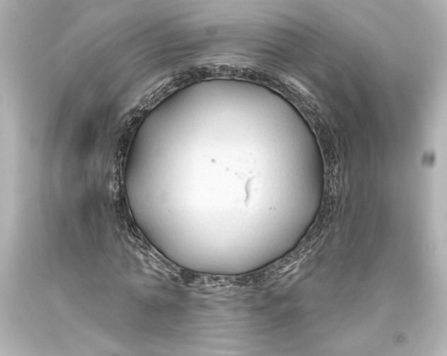 X0000093470774200711021231