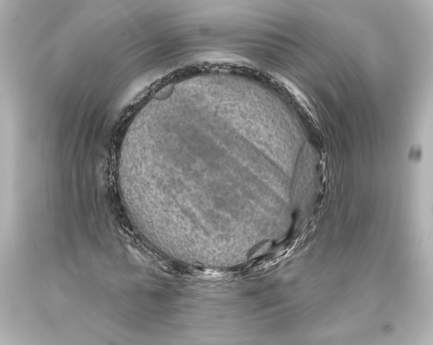 X0000093470775200711021231