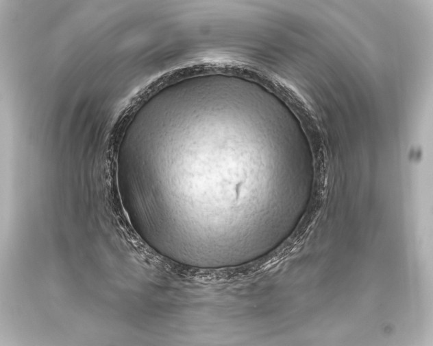 X0000093470776200711021231